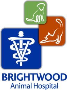 Brightwood Animal Hospital