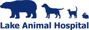 Lake Animal Hospital